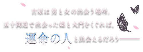 吉原は男と女の出会う場所。五十間道で出会った蝶と大門をくぐれば、運命の人と出会えるだろう